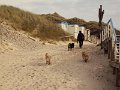 sylt (18)